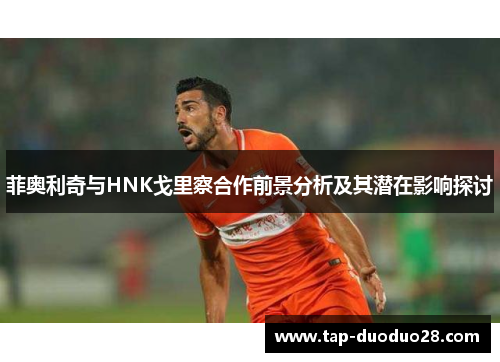 菲奥利奇与HNK戈里察合作前景分析及其潜在影响探讨 菲奥利奇与HNK戈里察合作前景分析及其潜在影响探讨