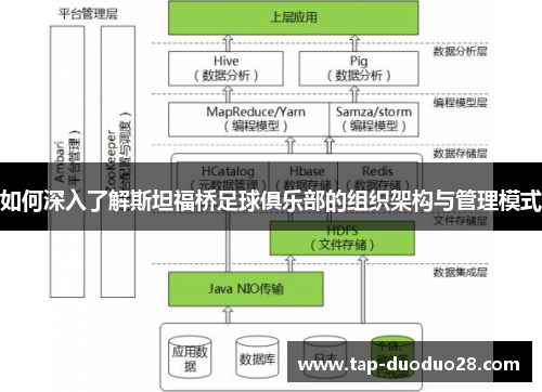 如何深入了解斯坦福桥足球俱乐部的组织架构与管理模式